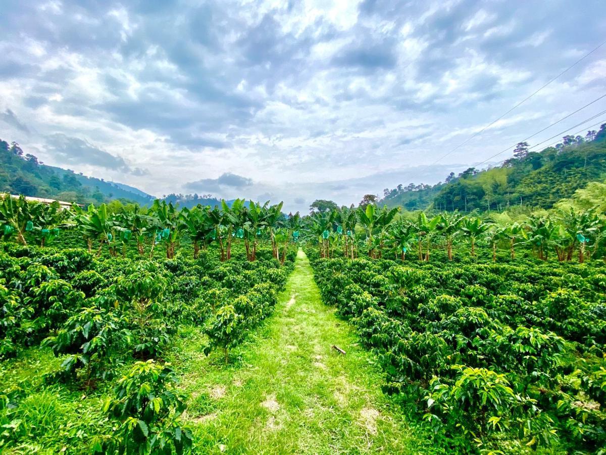 Hacienda Venecia Coffee Farm Hotel San Peregrino 外观 照片