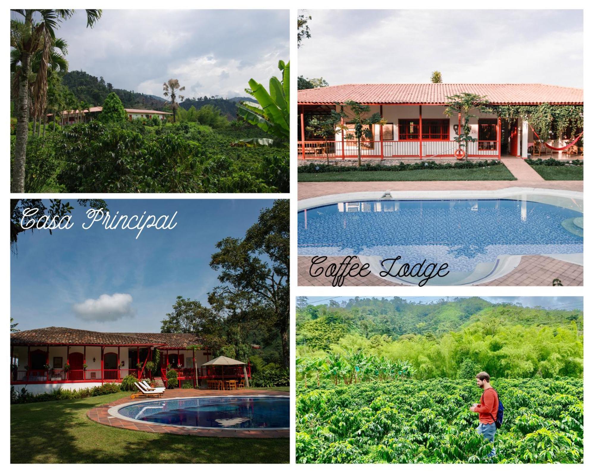 Hacienda Venecia Coffee Farm Hotel San Peregrino 外观 照片