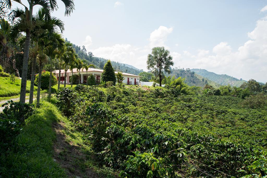 Hacienda Venecia Coffee Farm Hotel San Peregrino 客房 照片